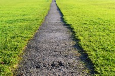 Path And Lawn