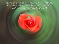 Proverbs Wallpapers 3