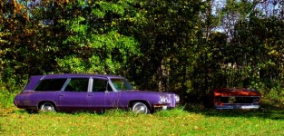 Purple Car Orange Car