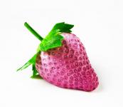 Purple Strawberry