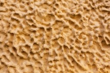 Sandstone Wallpaper