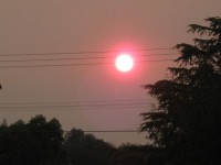 Smoky Sun
