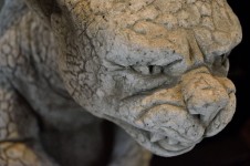 Stone Sculptures - Gargoyles