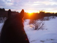 Sunset On Horseback