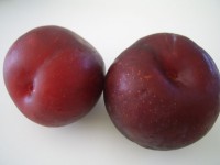 Two Purple Plums