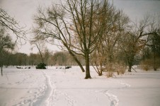 Winter Image, Lublin