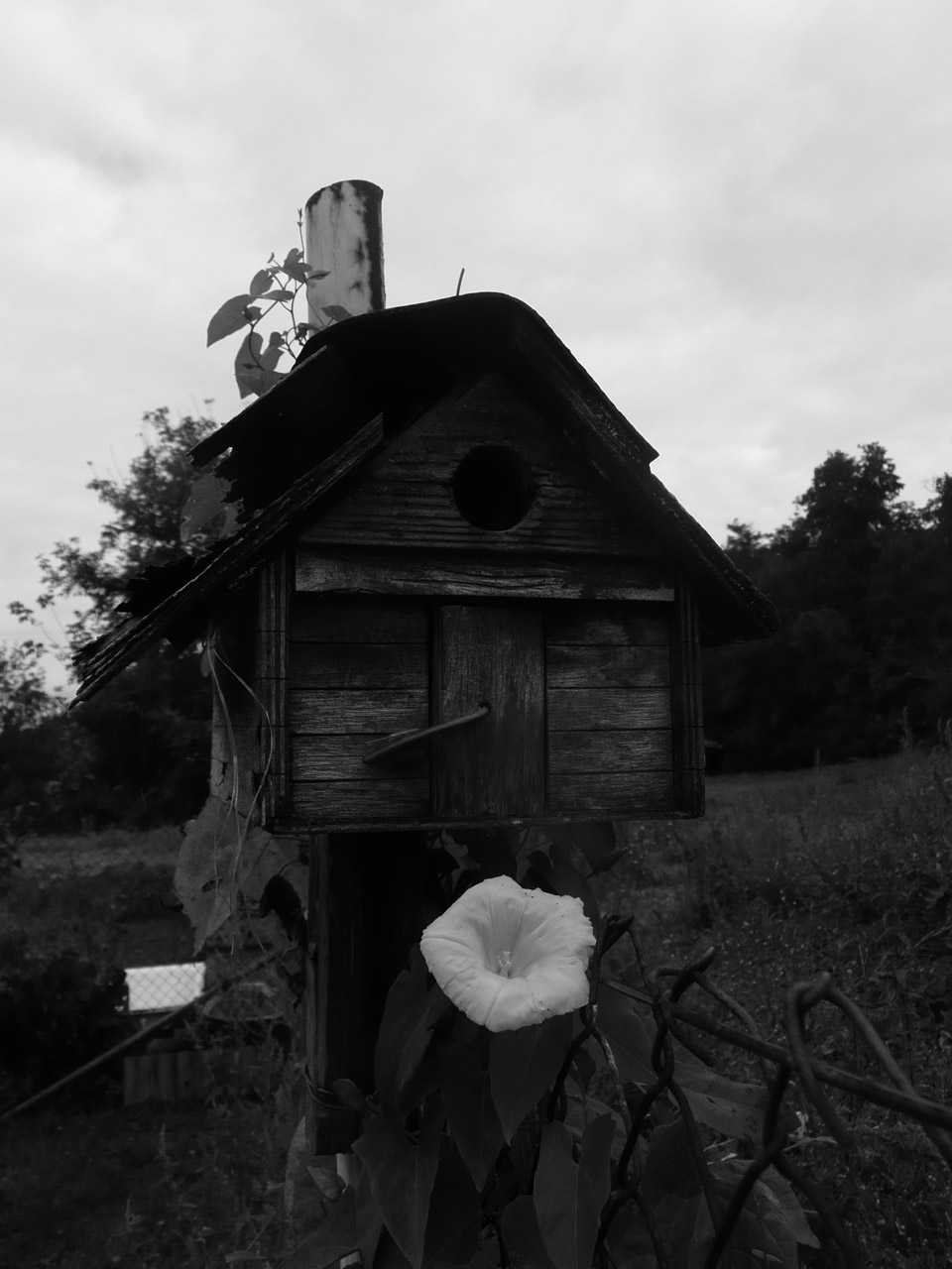Small Birdhouse