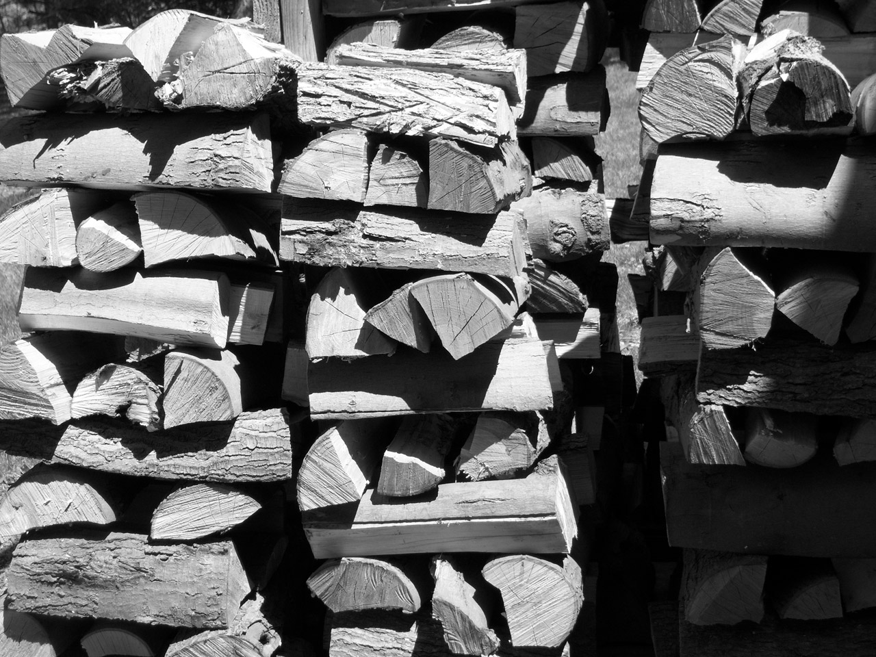 Black And White Wood Pile