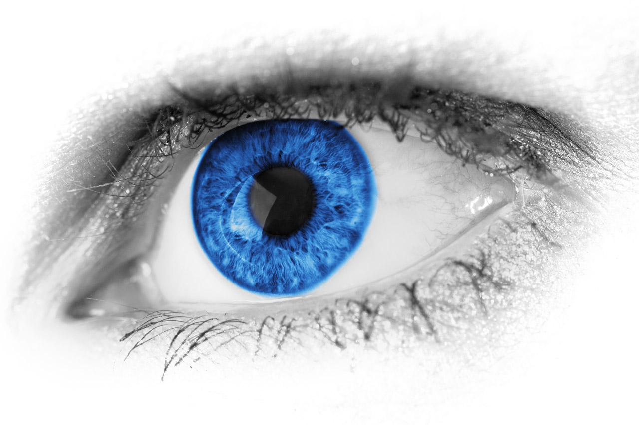 Blue Eye Detail