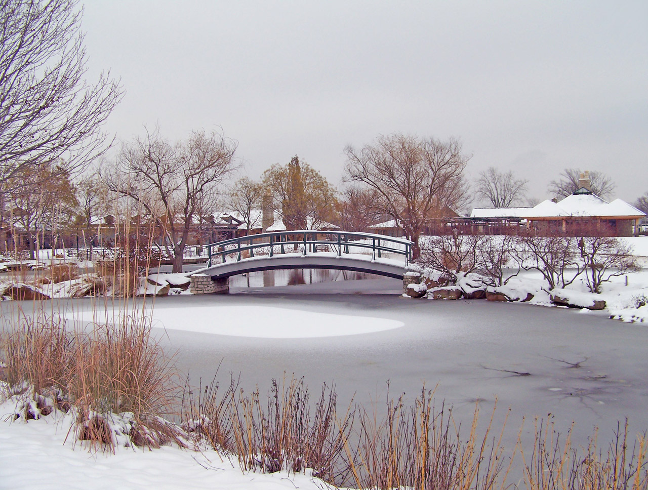 Monet bridge in snow