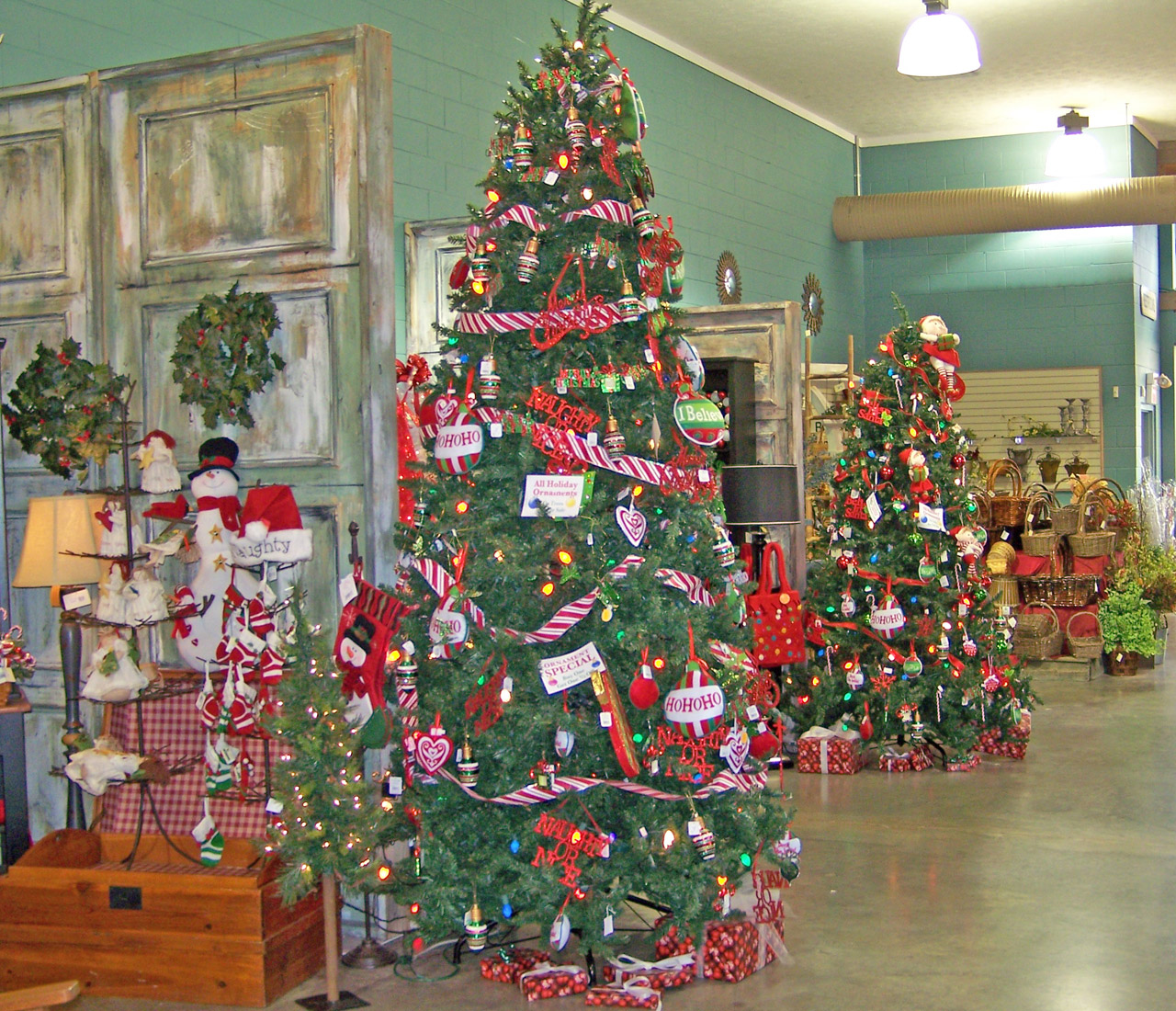 Christmas trees displayed at a nursery