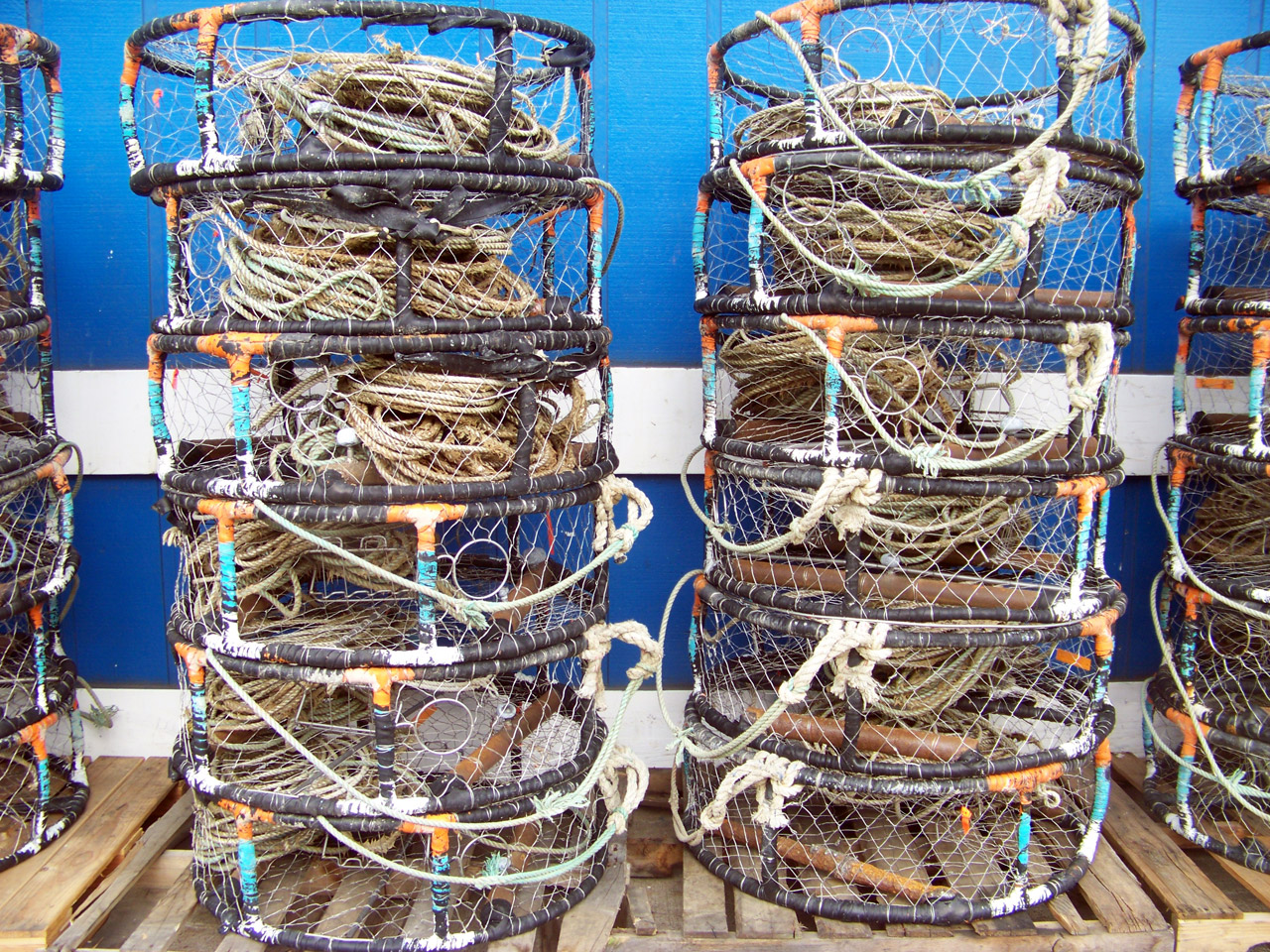 Crab pots in a row after the day's haul