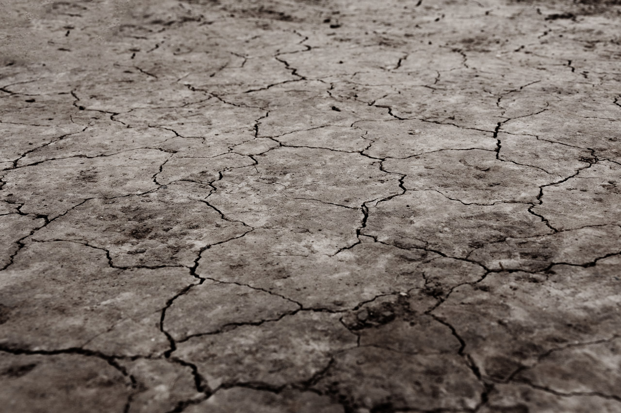 cracked dry earth