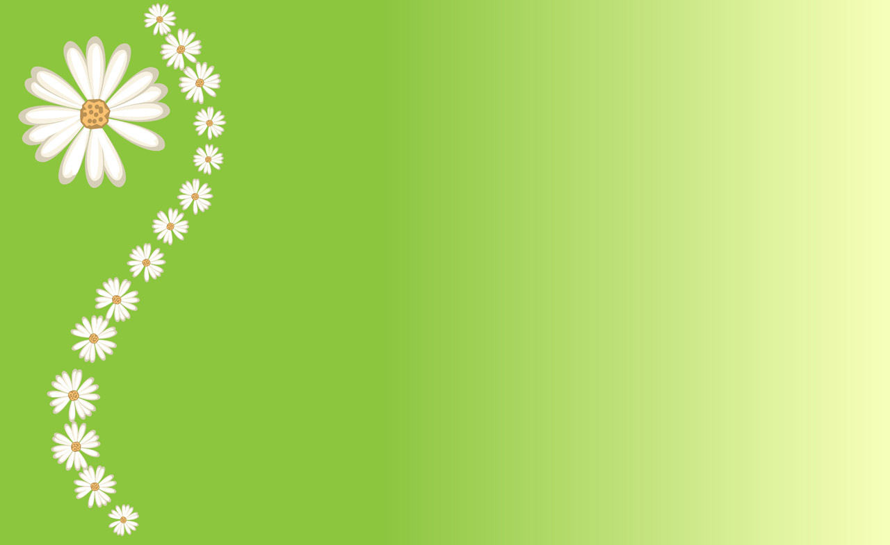 Daisies On Green Background