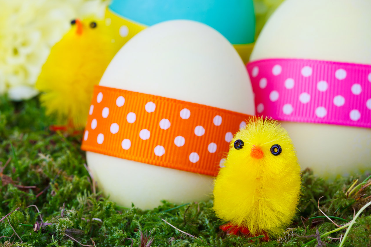 Easter Chicks And Eggs