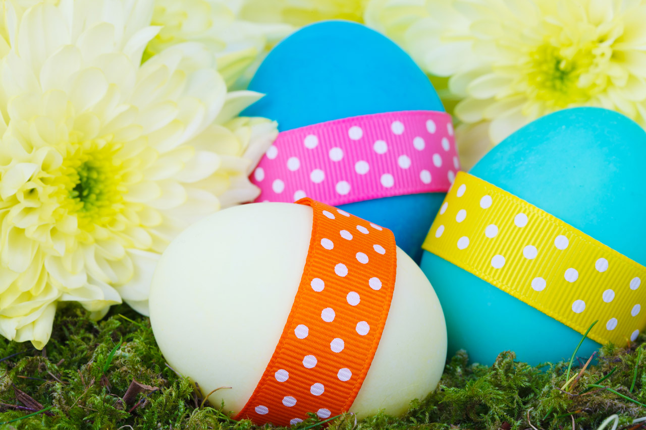 Easter Eggs And Flowers