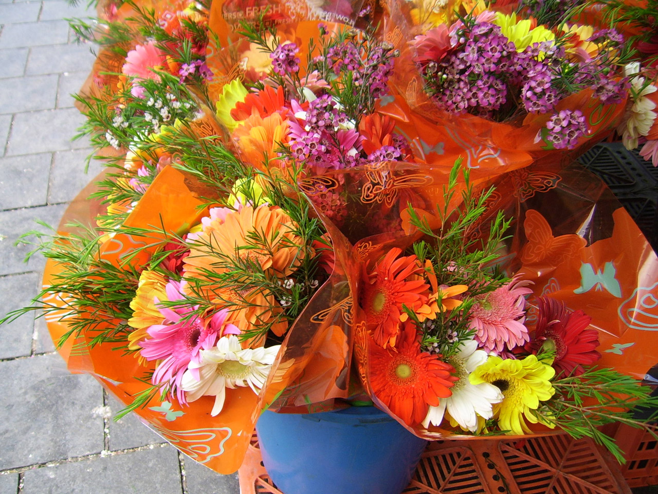 Flowers For Sale
