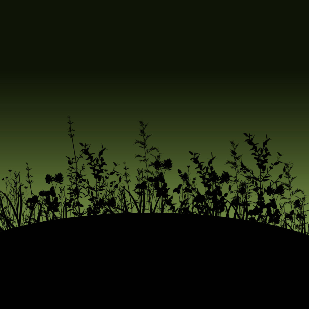 Flower silhouettes on a green dusky sky