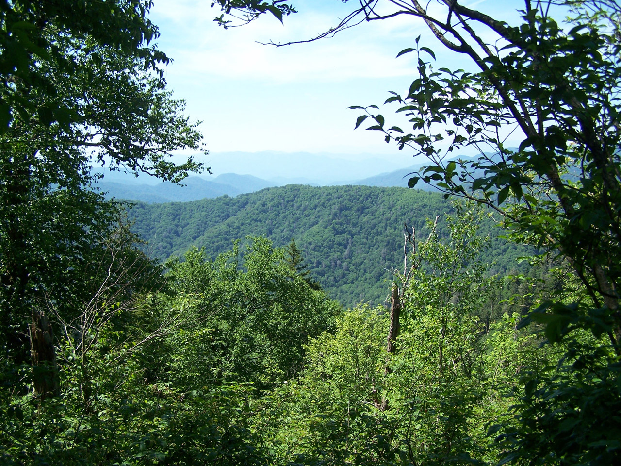 View of the Smoky Mountains from a hill about Gatlinburg, TN