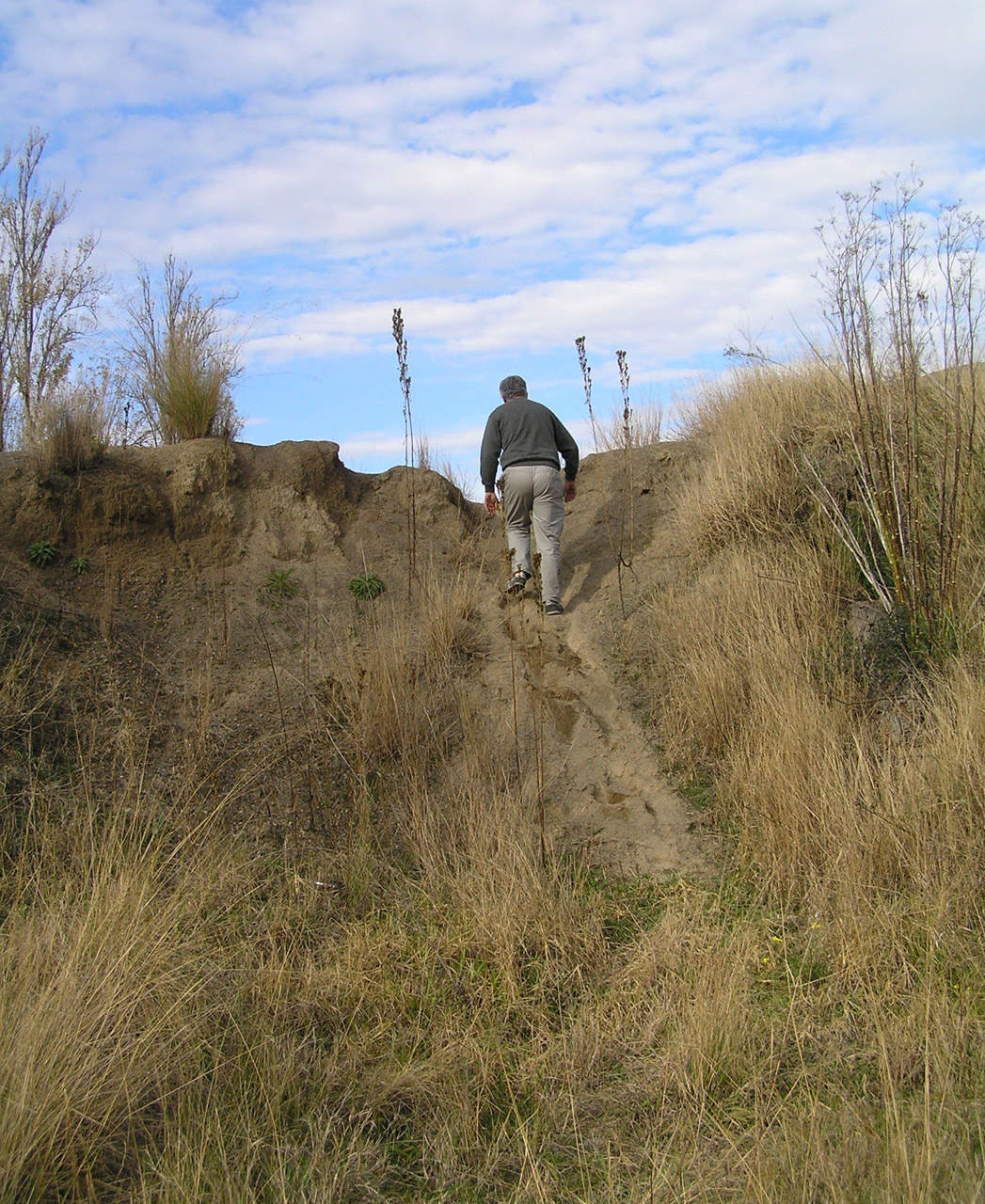 Man Climbing Hill