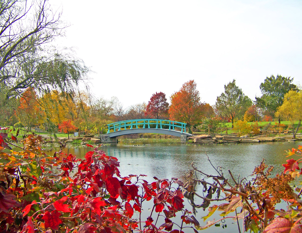 Monet Bridge in a city park in the fall