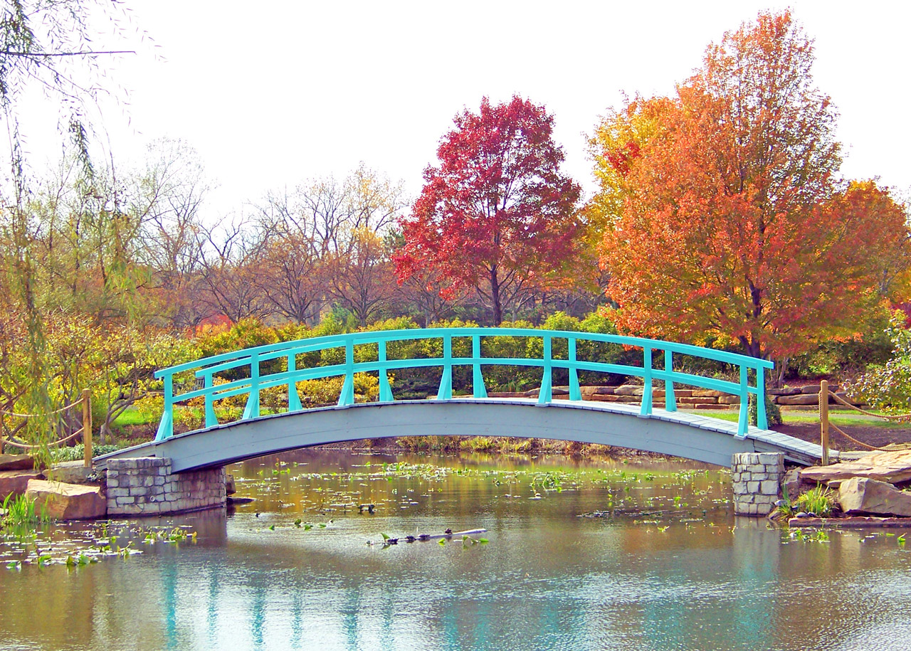 Monet Bridge In Park In Autumn