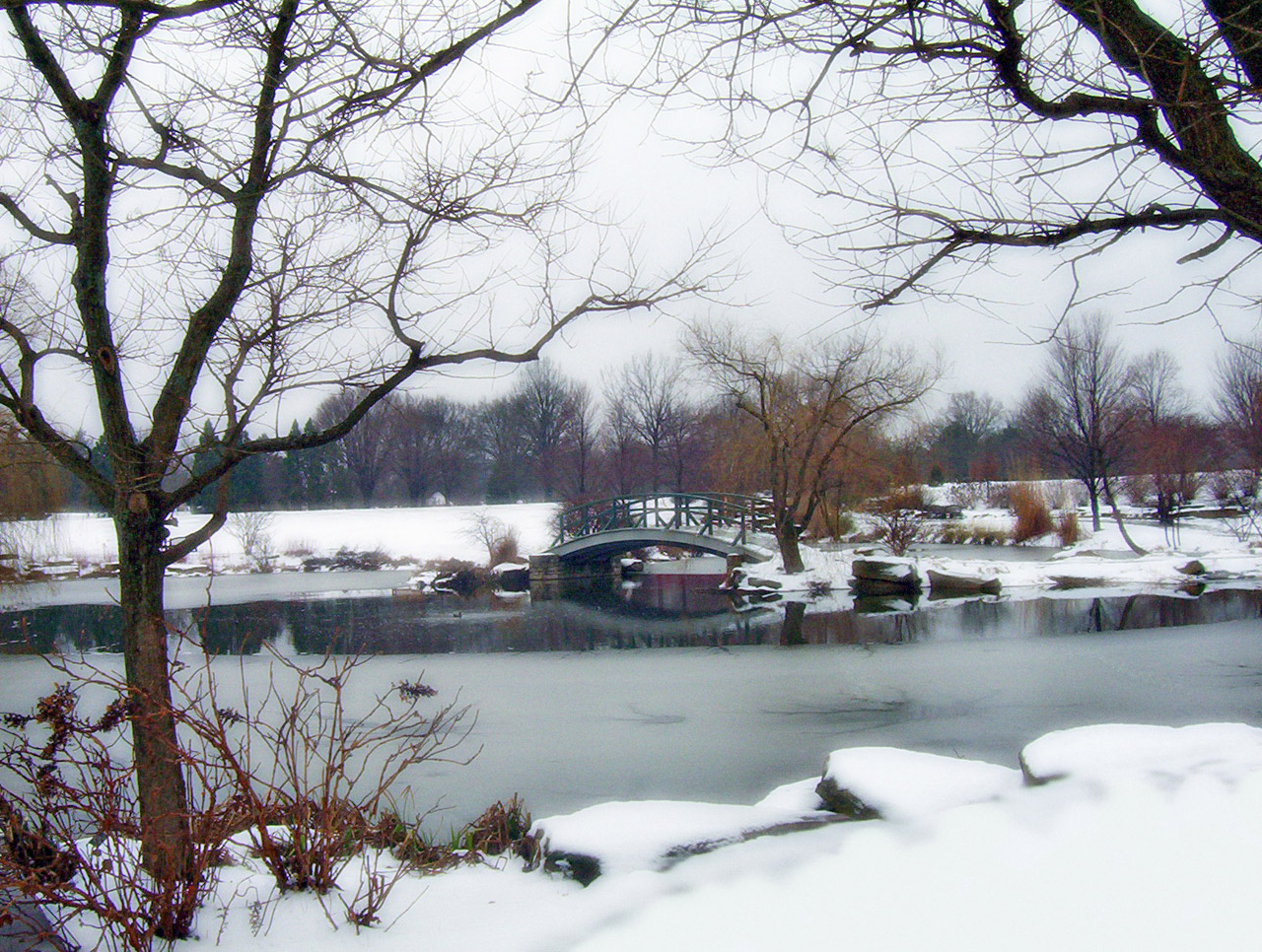 Monet Bridge In Park In Snow