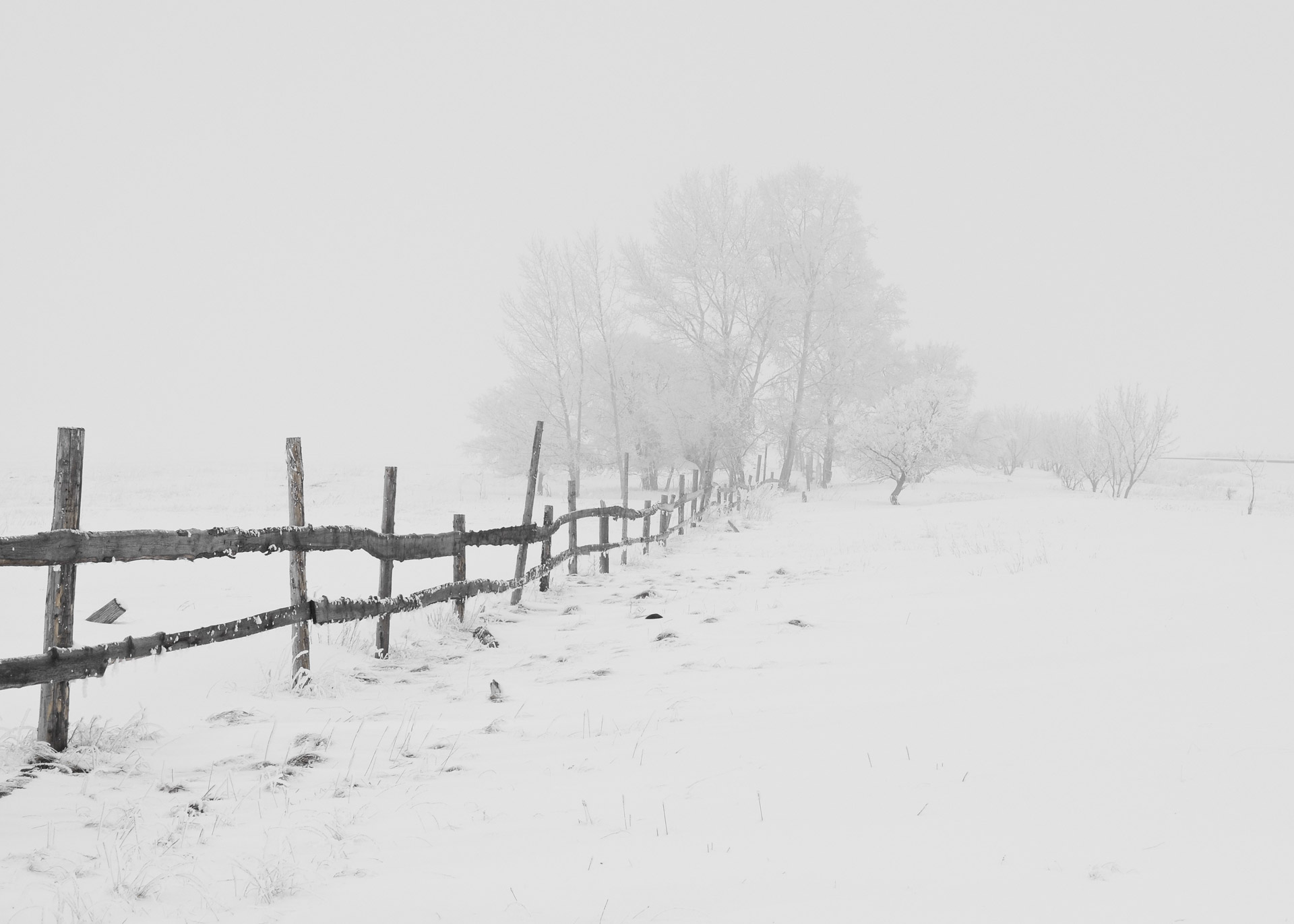 Old wooden fence in the winter fog