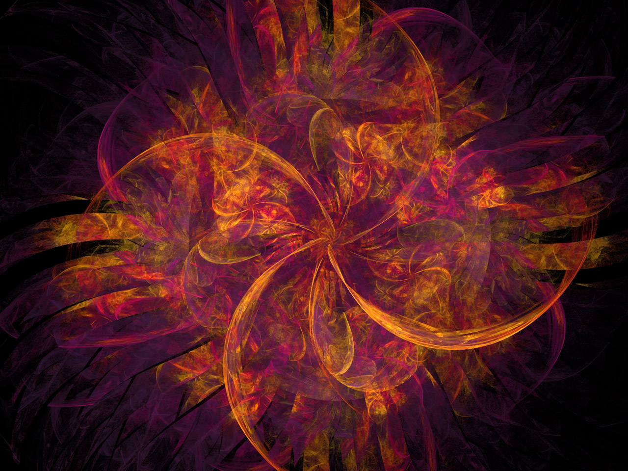 fractal image of petals in orange and a touch of purple