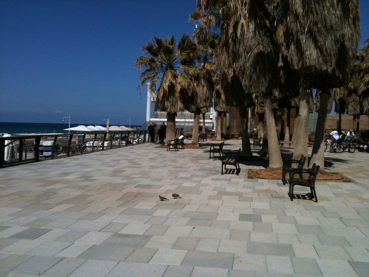 Tel Aviv Promenade