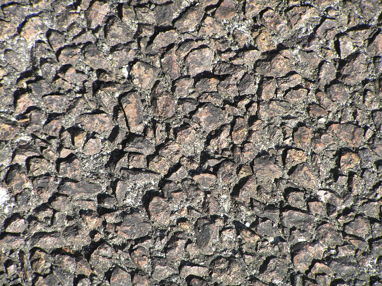 Rocky texture of a pathway