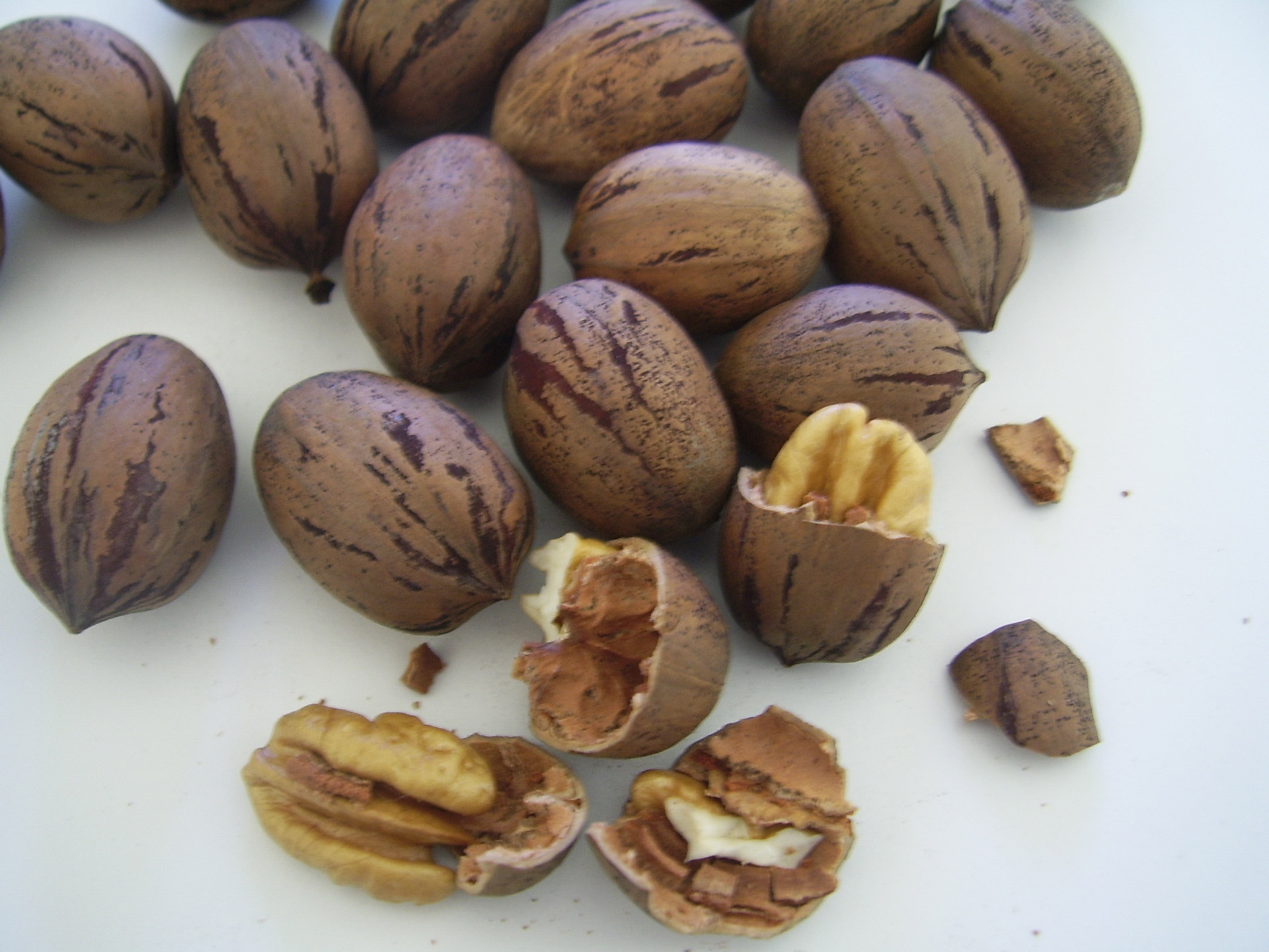 Shelled pecan nuts