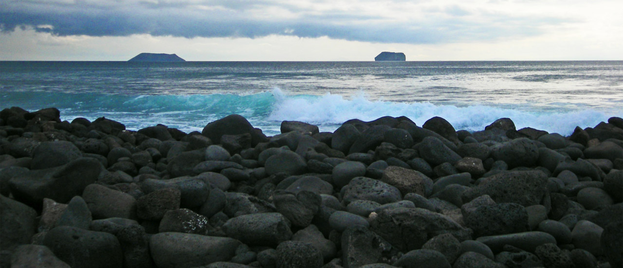 Galapagos, April 2011
