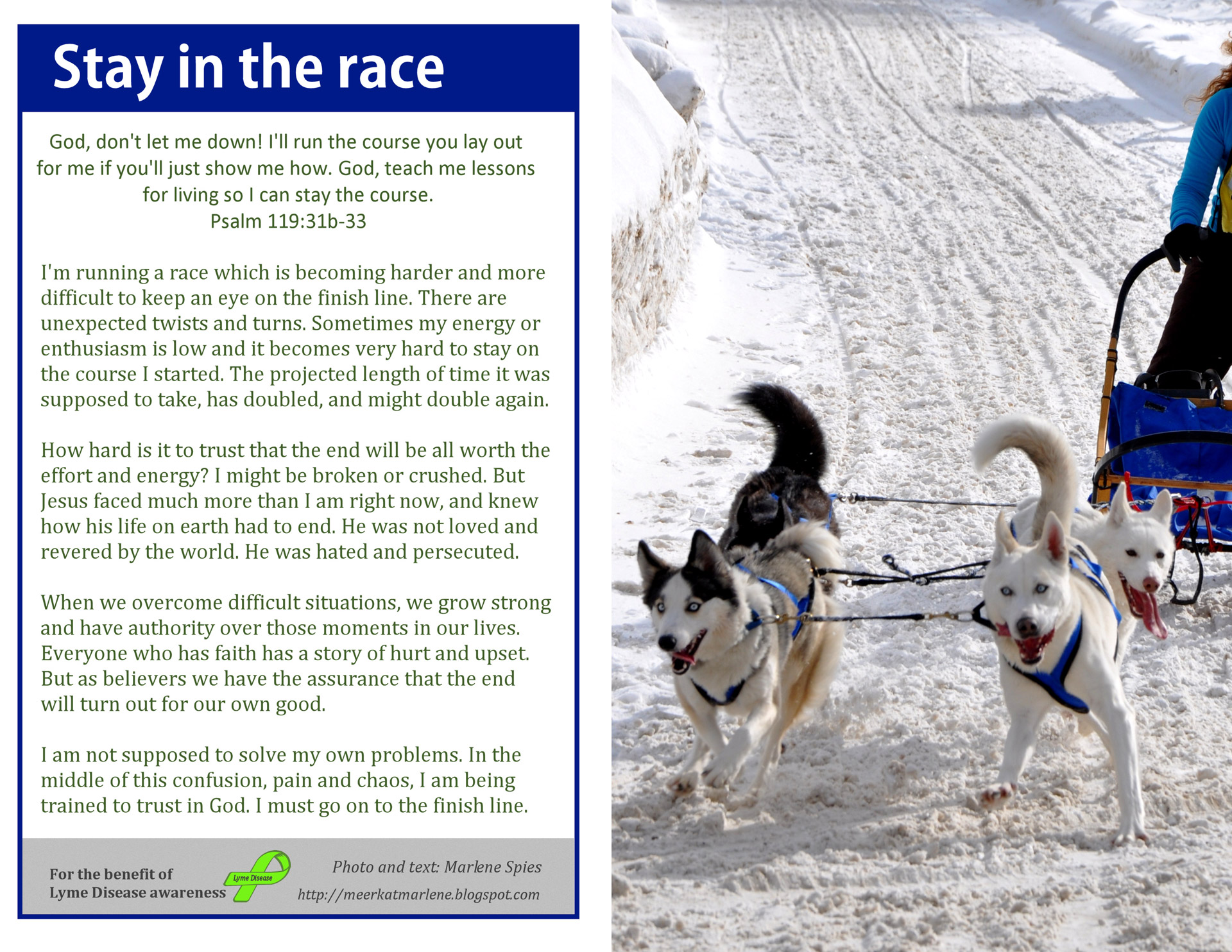 Program or bulletin cover with picture of dog sled racing in the snow. Back panel has Scripture and message.