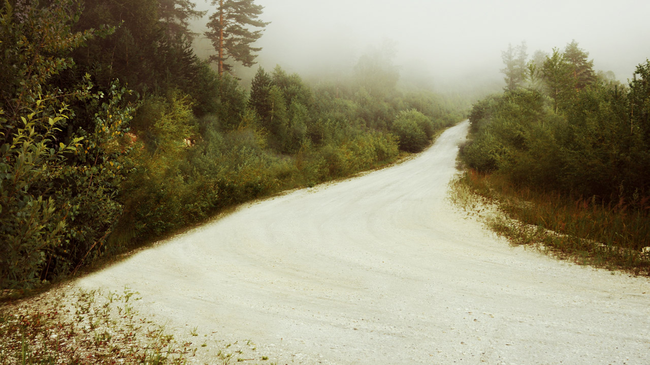 The road leaves the forest in mist