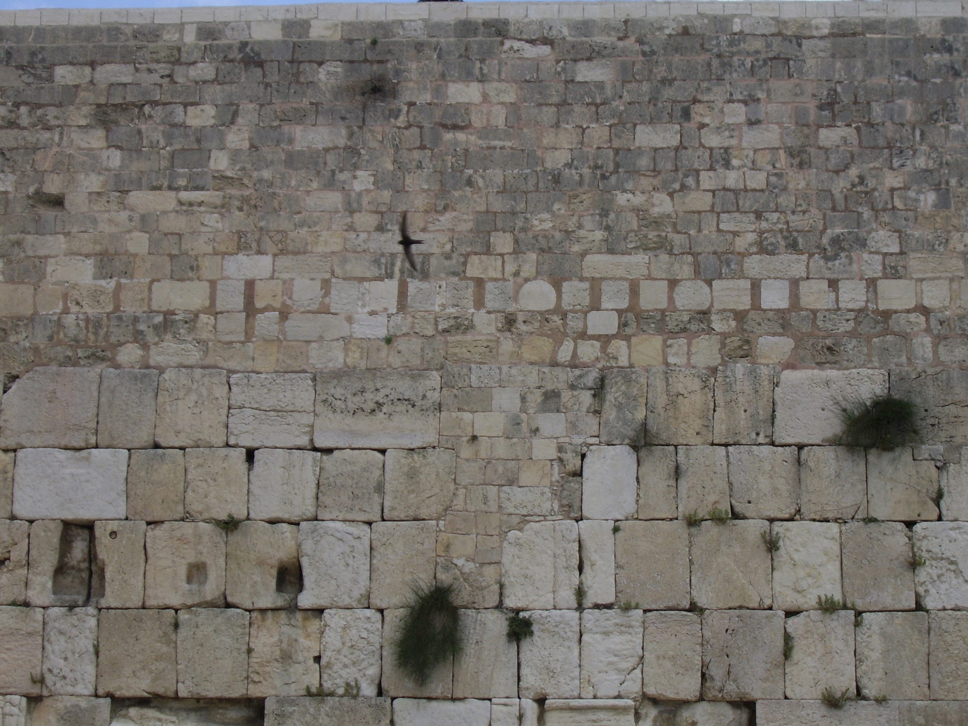 Western Wall In Jerusalem Free Stock Photo - Public Domain Pictures