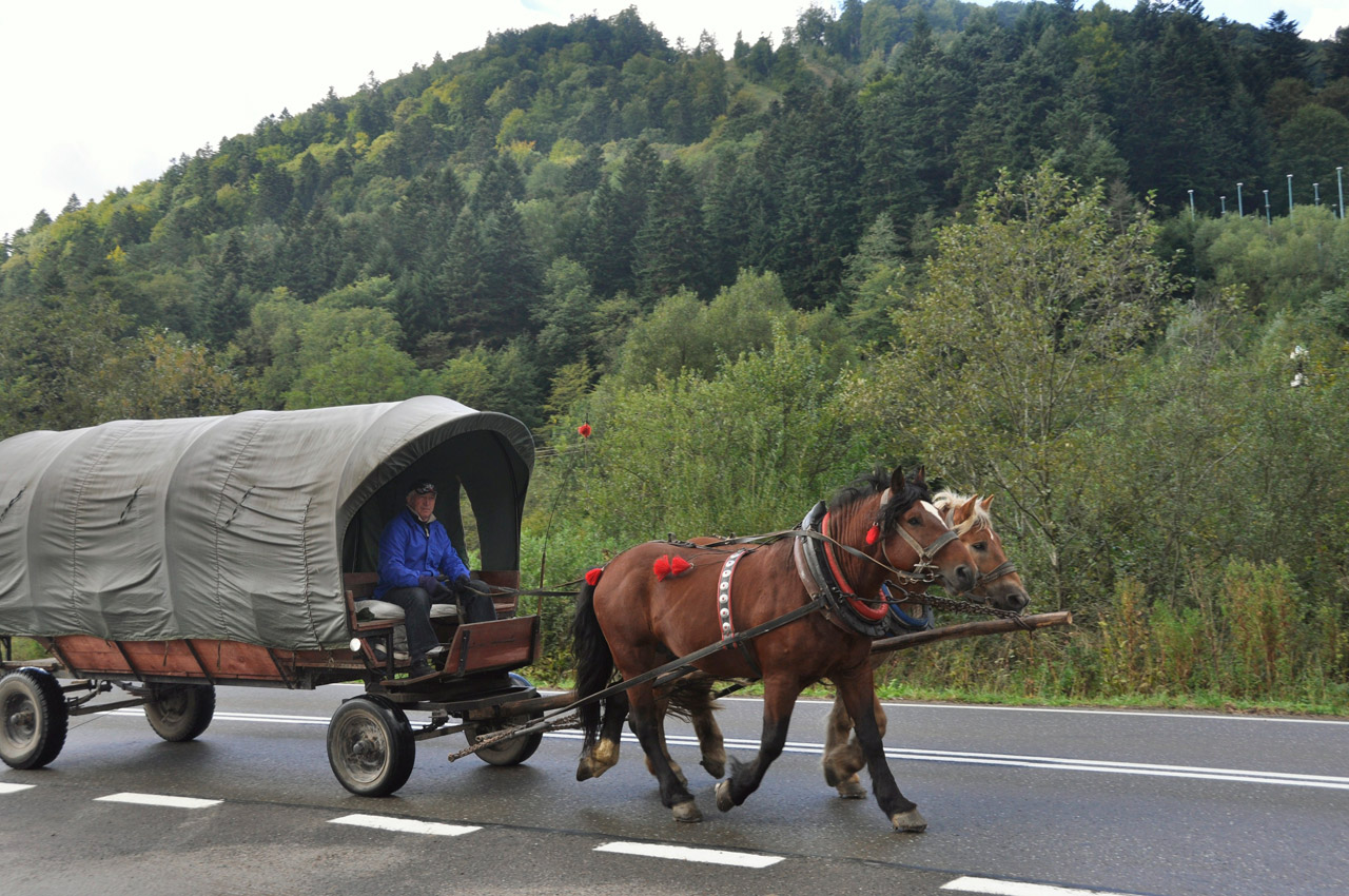 Horse-drawn Carriage