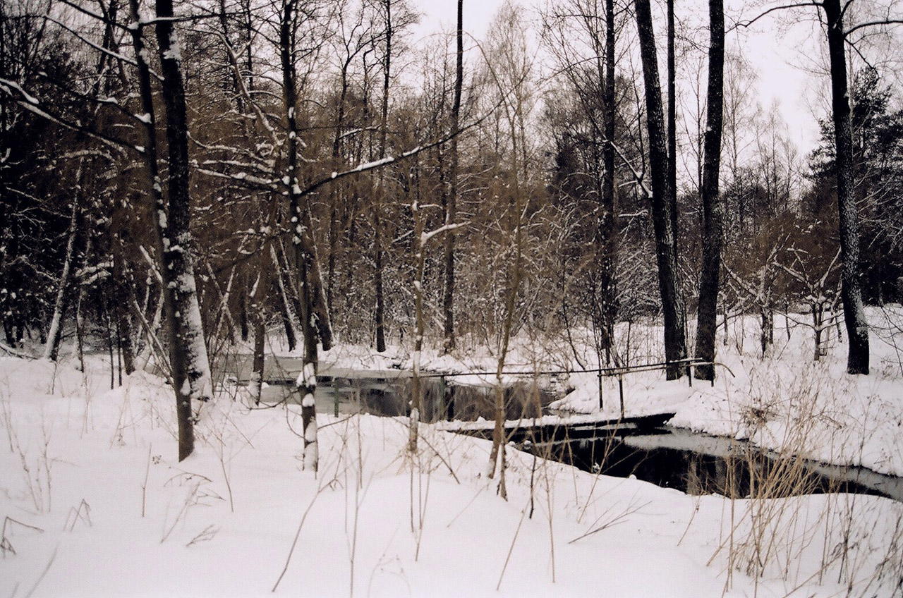 Winter Picture Near Lublin