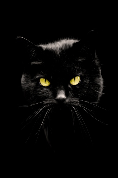 Black Cat, Peinture à l'huile Photo stock libre - Public Domain Pictures