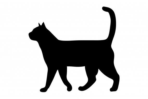 Katze, die Schwarz Silhouette Kostenloses Stock Bild - Public Domain  Pictures