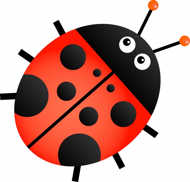 Ladybug Free Stock Photo - Public Domain Pictures