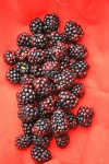 Blackberries On Red