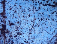Blue Rust Texture