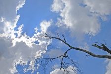 Bright White Clouds And Blue Sky