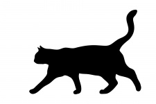 Cat Walking Black Silhouette