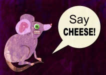 Cheesy Mouse