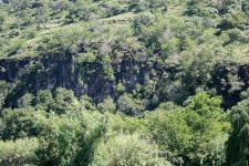 Cliffs And Trees Above Riverbed