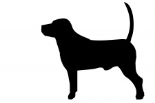 Dog Black Silhouette
