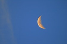 Early Evening Quarter Moon