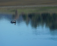 Fishing On Folsom Lake